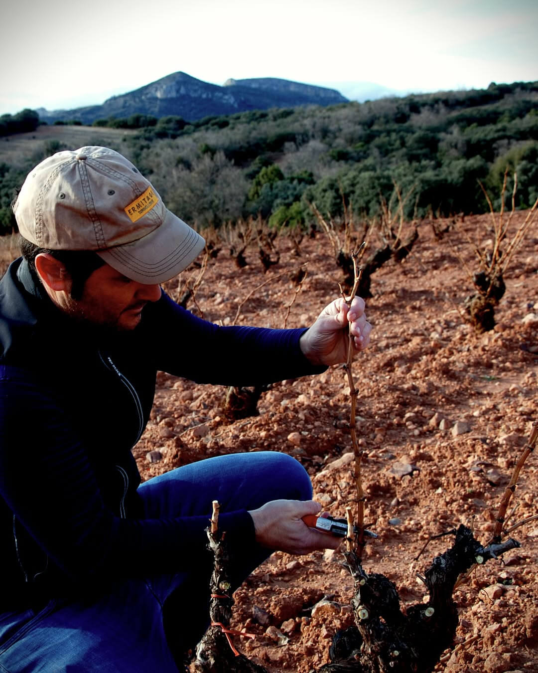Javier Gil Pegenaute Viticultor trabajando en una de sus viñas
